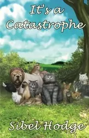 It's a Catastrophe