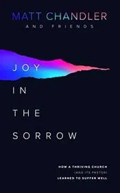 Book cover for "Joy in the Sorrow"