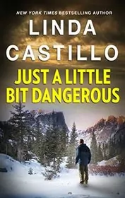 Book cover for "Just A Little Bit Dangerous" by Linda Castillo