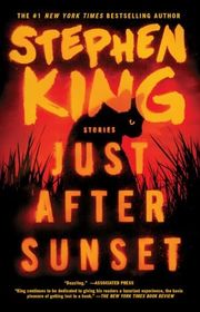 Book cover for "Just After Sunset"
