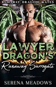 Lawyer Dragon’s Runaway Surrogate