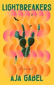 Aja Gabel book cover