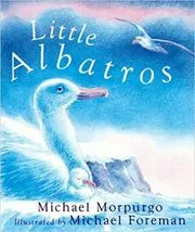 Little Albatross