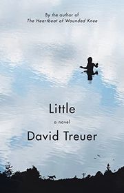 Book cover for "Little" by David Treuer