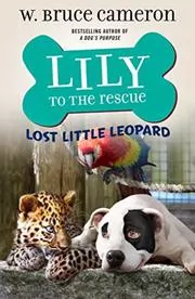 Book cover for "Lost Little Leopard" by W Bruce Cameron