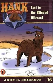 Lost in the Blinded Blizzard