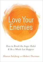 Book cover for "Love Your Enemies"