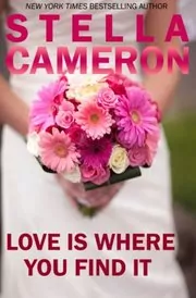 Book cover for "Love is Where You Find It" by Stella Cameron
