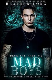 Book cover for "Mad Boys" by Heather Long