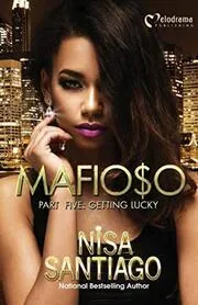 Nisa Santiago book cover