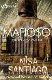 Nisa Santiago book cover