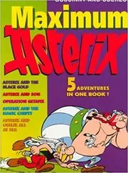 Maximum Asterix