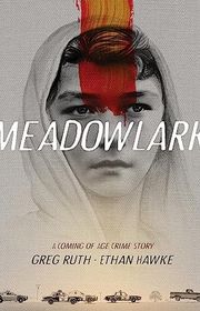 Ethan Hawke book cover