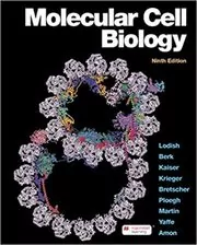Book cover for "Molecular Cell Biology" by Harvey Lodish