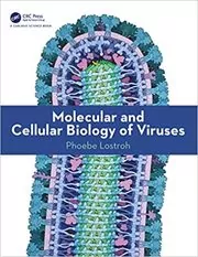 Book cover for "Molecular and Cellular Biology of Viruses" by Phoebe Lostroh