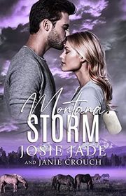 Book cover for "Montana Storm"