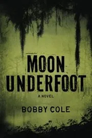 Moon Underfoot