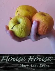 Book cover for "Mouse House" by Mary Anna Evans