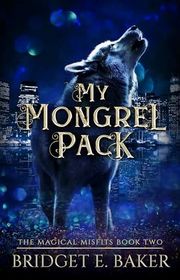 Magical Misfits book cover