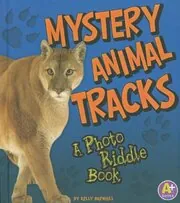 Mystery Animal Tracks