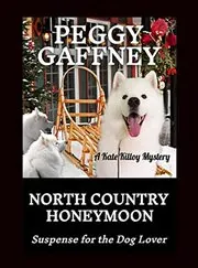North Country Honeymoon