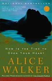 Book cover for "Now Is the Time to Open Your Heart"