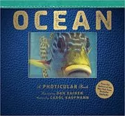 Book cover for "Ocean" by Dan Kainen