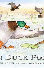 Book cover for "On Duck Pond" by Jane Yolen