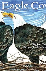 Book cover for "On Eagle Cove" by Jane Yolen