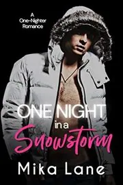One Night in a Snowstorm