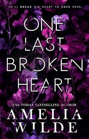 Amelia Wilde book cover