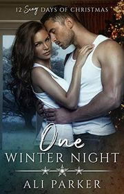 Book cover for "One Winter Night" by Ali Parker