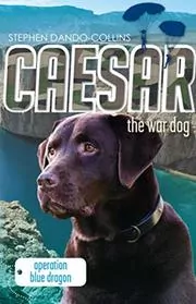 Operation Blue Dragon