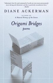 Book cover for "Origami Bridges"