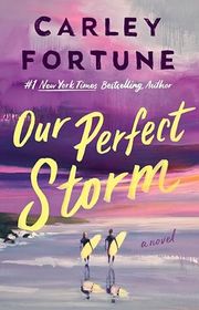 Book cover for "Our Perfect Storm" by Carley Fortune
