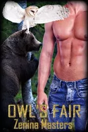 Book cover for "Owl's Fair" by Viola Grace