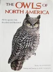Owls of North America