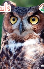 Book cover for "Owls"