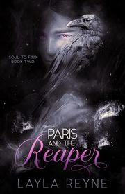 Soul to Find book cover