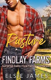 Findlay Farm book cover
