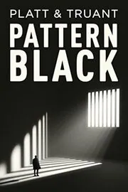 Sean Platt book cover