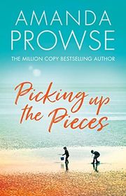 Book cover for "Picking up the Pieces"