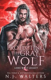 NJ Walters book cover
