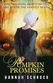 The Amish of Christmas Hollow book cover