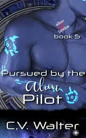 Pursued by the Alien Pilot