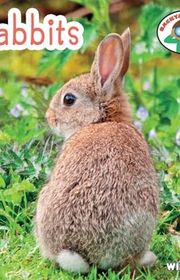 Book cover for "Rabbits"