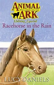 Book cover for "Racehorse in the Rain" by Lucy Daniels