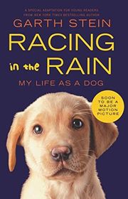 Book cover for "Racing in the Rain" by Garth Stein