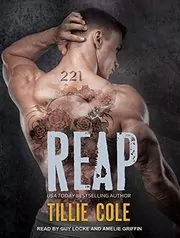 Scarred Souls book cover