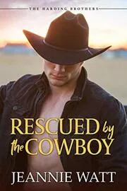 Book cover for "Rescued by the Cowboy / Austin" by Jeannie Watt